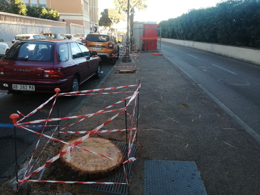 Sanremo: nella 'Giornata del Paesaggio' il Pat chiede all'Amministrazione maggiore attenzione al verde