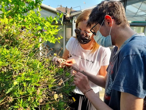 Ultimi giorni della campagna di raccolta fondi per il progetto ‘Un Seme Dopo di Noi’: si può donare fino al 26 giugno