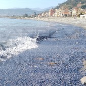 Riva Ligure: anche  quest'anno è tornato il fenomeno delle Barchette di San Giovanni sulla spiaggia (Foto)