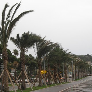 Forte vento di tramontana tra oggi e domani sulla nostra provincia: previste raffiche fino a 100 km/h