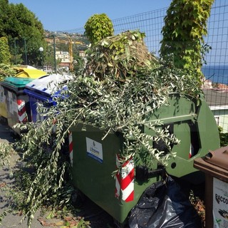 Ospedaletti: pota gli alberi del giardino e per non fare 60 metri in più, getta tutto nei cassonetti