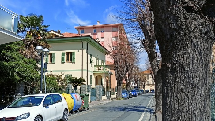 Vallecrosia, potatura dei tigli: divieti di sosta e di transito in via Don Bosco (Foto)