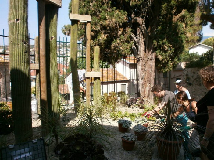 Sanremo: abbattuti due alberi nel giardino di rive San Giuseppe, rimossi un cipresso e un pino