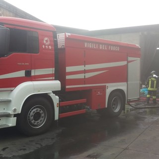 Bajardo: albero cade sui cavi dell'Enel sulla provinciale, intervento dei Vigili del Fuoco e strada riaperta