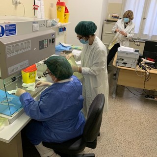 Coronavirus: oggi zero contagi in provincia e 10 in Liguria, calano ancora ricoverati e sorveglianze attive