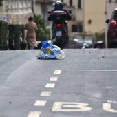 Sanremo: vento forte in tutta la provincia: ordinanza del Sindaco, chiusi parchi e giardini per tutta la giornata