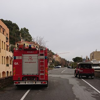 Imperia: due cagnolini rimangono imprigionati in auto, pronto l'intervento dei Vigili del Fuoco