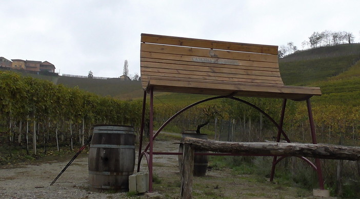 Domenica prossima escursione in Piemonte sulle colline delle Langhe alla scoperta del Barbaresco