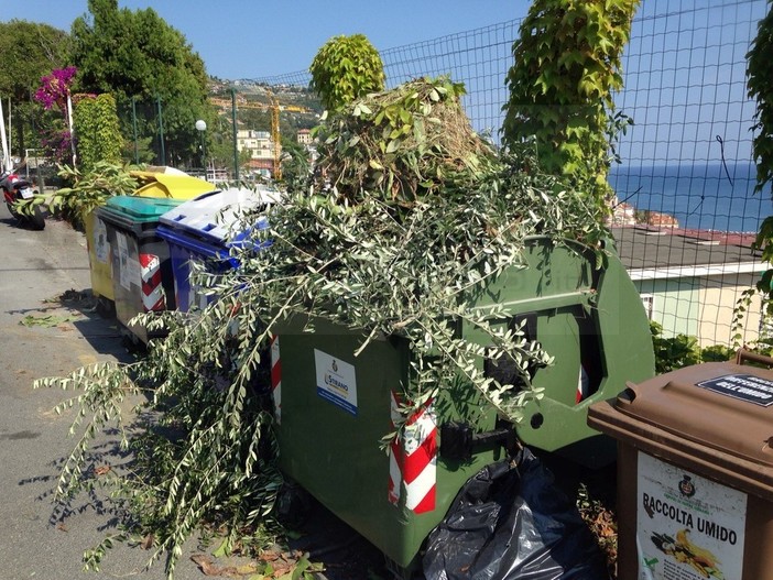 Ospedaletti: pota gli alberi del giardino e per non fare 60 metri in più, getta tutto nei cassonetti