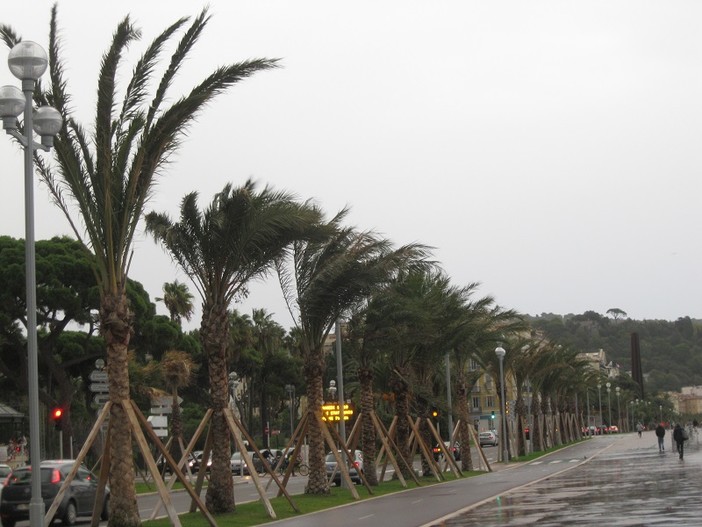 Forte vento di tramontana tra oggi e domani sulla nostra provincia: previste raffiche fino a 100 km/h