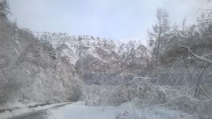 Nevicata di stanotte sulle Alpi Marittime: ecco le immagini di Gianni Bracco stamani a Verdeggia