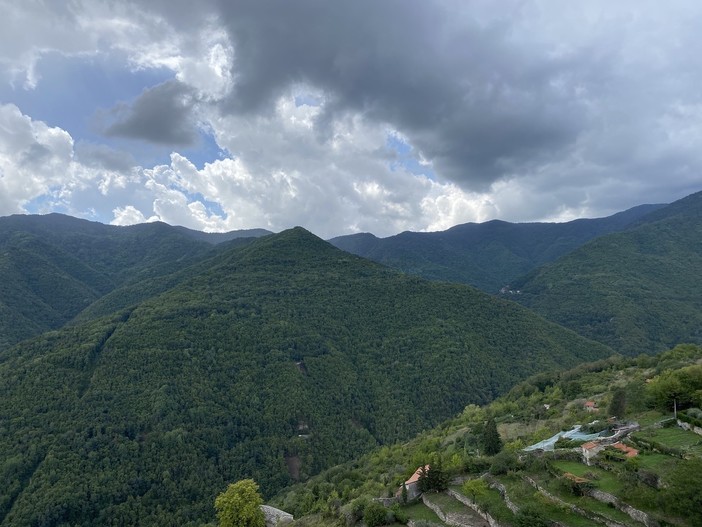 Biodiversità in aree protette, il Liguria via ai progetti di valorizzazione e monitoraggio per oltre 400 mila euro