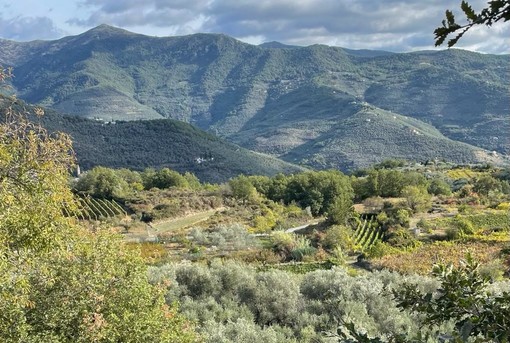 Green community: Valle Impero e Valle Arroscia unite per un progetto di sviluppo sostenibile