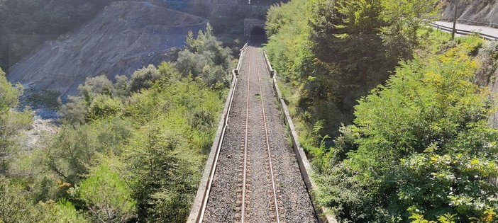 &quot;Treni della neve gratuiti? Quei soldi usiamoli per potenziare la linea tra Cuneo e Ventimiglia&quot;