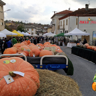 Rocchetta di Cengio (SV): fervono i preparativi per la ventesima edizione di “ZuccaInPiazza”