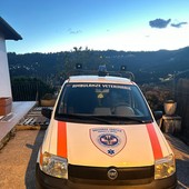 Bordighera, dona una Panda: nuovo mezzo per Ambulanze Veterinarie Odv
