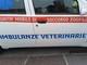 Bordighera, diventare volontari di Ambulanze Veterinarie: al via un corso di primo soccorso