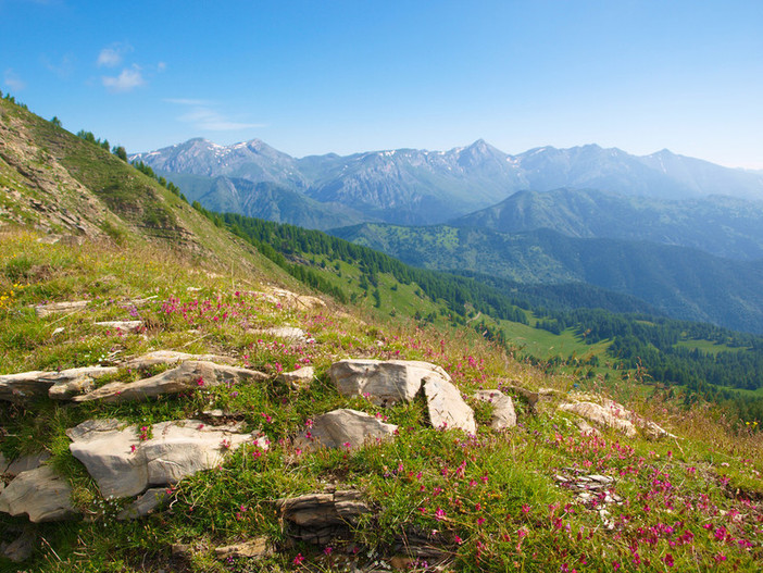 Citizen Science (scienza fatta dai cittadini) sabato 24 e domenica 25 nel Parco delle Alpi Liguri