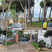 Ventimiglia, alberi ammalorati e pericolanti: al via abbattimenti e interventi di messa in sicurezza (Foto)