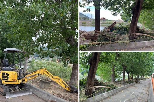 Taggia, bloccati i lavori di abbattimento degli alberi lungo il torrente: cantiere fermo fino a fine agosto (Foto e video)