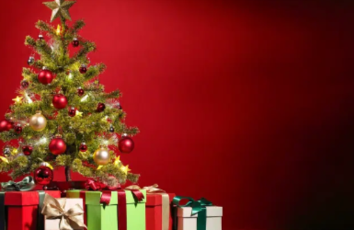 Sanremo: ‘PiantiAmo il Futuro’: l’iniziativa del Comune e dei Rangers per donare nuova vita agli alberi di Natale