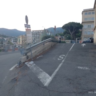 Taglio alberi all'Ospedale di Sanremo, l'ASL 1 replica &quot;Intervento autorizzato per lavori di messa in sicurezza&quot;