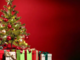 Sanremo: ‘PiantiAmo il Futuro’: l’iniziativa del Comune e dei Rangers per donare nuova vita agli alberi di Natale