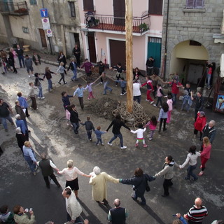 Domenica a Bajardo abbattimento del pino della piazza e raduno degli Alpini