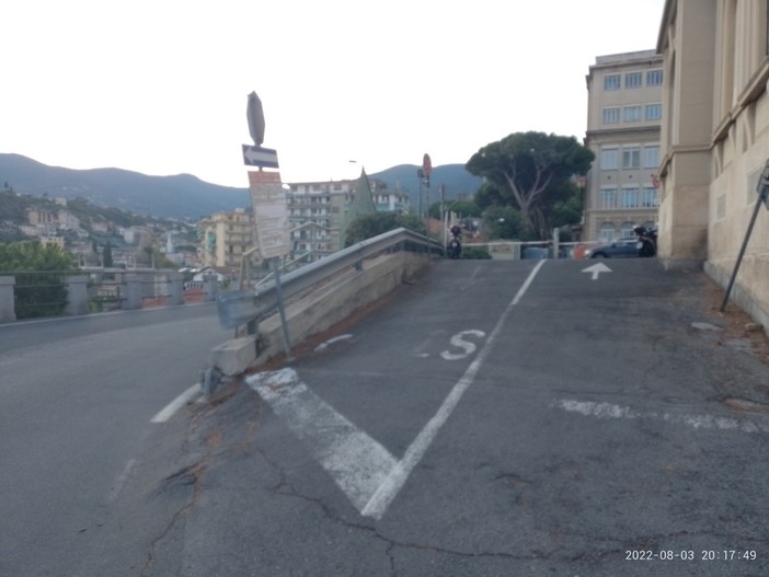 Sanremo: alberi tagliati all'Ospedale Borea, l'associazione L'Altritalia Ambiente e comitato PAT presentano diffida
