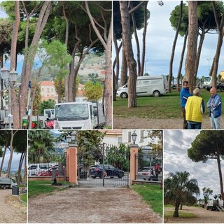 Ventimiglia, alberi ammalorati e pericolanti: al via abbattimenti e interventi di messa in sicurezza (Foto)