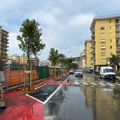 Arma di Taggia, piantumati i 9 alberi in via della Stazione: in settimana disponibili anche i parcheggi (Foto)