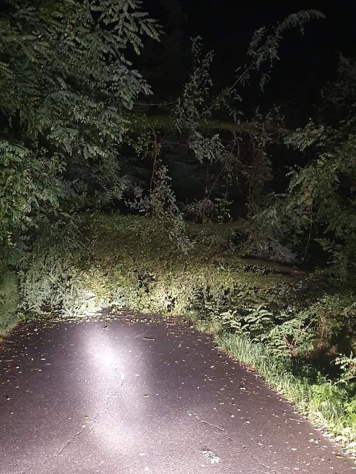 Molini di Triora, caduta di alberi sulla strada che porta ad Andagna: secondo episodio in 10 giorni