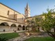 Taggia: viticoltura in mostra al Convento dei Domenicani con il “1º Wine Photo Experience e La Viticoltura bel Ponente Ligure”