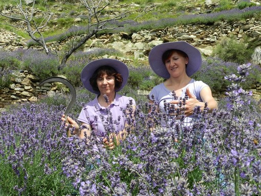 Stile Artigiano 2020: Il mondo della lavanda con l’Antica Distilleria Cugge