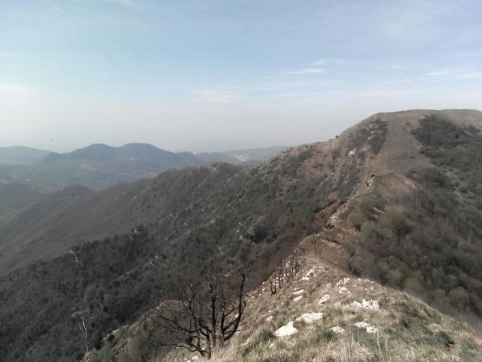 Dal 10 al 17 giugno arriverà l’ALVI Trail Liguria, la competizione che attraversa l'intero arco montano ligure