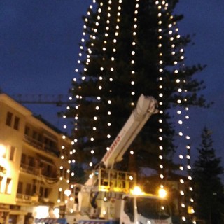 Taggia: ecco l'Albero di Natale di Arma, 34 metri illuminati da una stella sulla cima e dalle luminarie a cascata