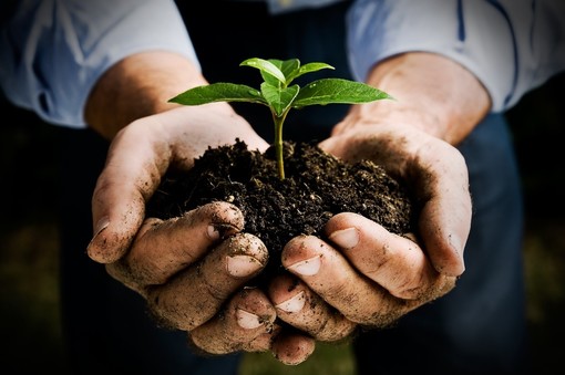 Coldiretti: con la desertificazione ed i cambiamenti climatici addio a un quarto della campagna italiana