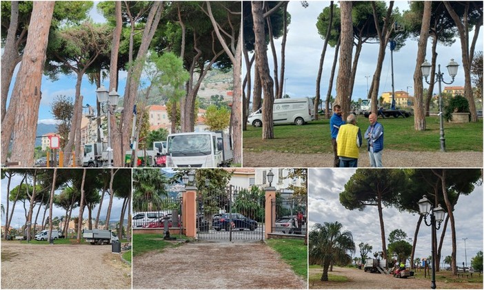 Ventimiglia, alberi ammalorati e pericolanti: al via abbattimenti e interventi di messa in sicurezza (Foto)