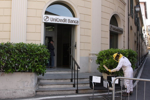 Sanremo: sciame d'api davanti alla banca Unicredit, stamattina la rimozione