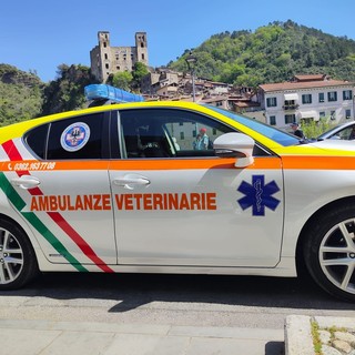 Soccorso animali in provincia di Imperia, Ambulanze Veterinarie Odv: &quot;Servizio gratuito nei comuni convenzionati&quot; (Foto)