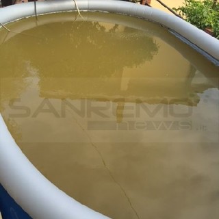 Imperia: acqua marrone nella piscina gonfiabile, la segnalazione del nostro lettore Ernesto