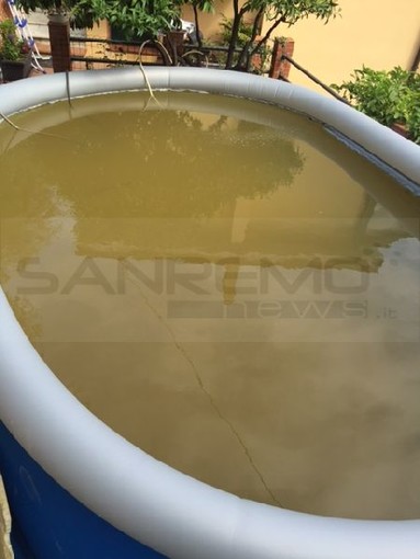 Imperia: acqua marrone nella piscina gonfiabile, la segnalazione del nostro lettore Ernesto