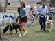 Torna 'Bordighera Dog Show', Mondini: &quot;I proventi della manifestazione saranno devoluti in beneficenza per i cani meno fortunati&quot;