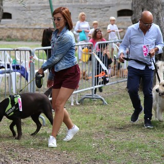 Torna 'Bordighera Dog Show', Mondini: &quot;I proventi della manifestazione saranno devoluti in beneficenza per i cani meno fortunati&quot;