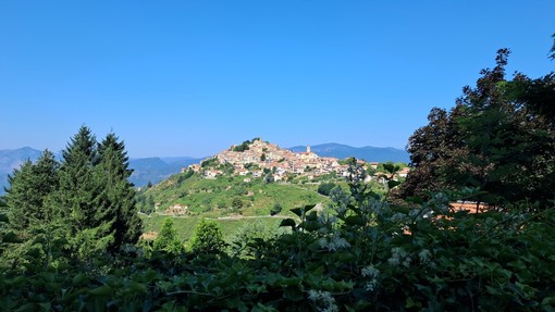 Bajardo, domenica la XVII edizione di &quot;Antica...mente: festa della lavanda e delle essenze di montagna&quot;