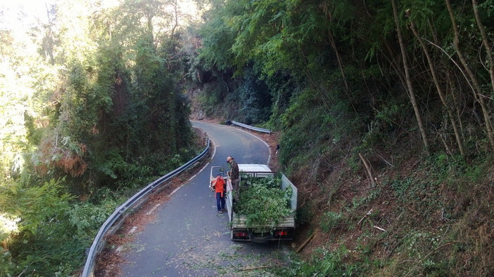 Sanremo: il plauso di un cittadino per la pulizia di Strada Via Senatore Ernesto Marsaglia