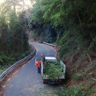 Sanremo: il plauso di un cittadino per la pulizia di Strada Via Senatore Ernesto Marsaglia