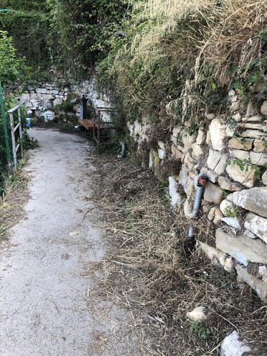 Bordighera: incuria per il beodo e il palmeto, la consigliera comunale Mara Lorenzi &quot;C'è speranza che le cose cambino&quot;