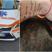 Vallecrosia, colpo di calore: cane salvato da Croce Rossa di Bordighera e Ambulanze Veterinarie Odv (Foto)