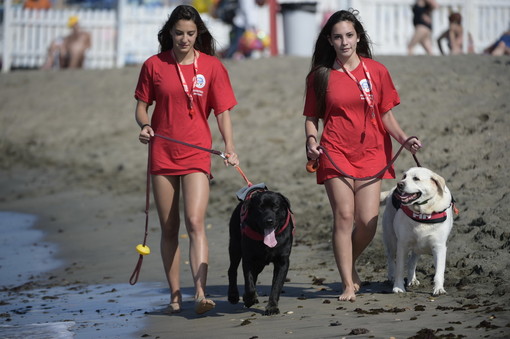 Al via corsi per la formazione di Assistente Bagnanti per piscina, acque Interne e mare